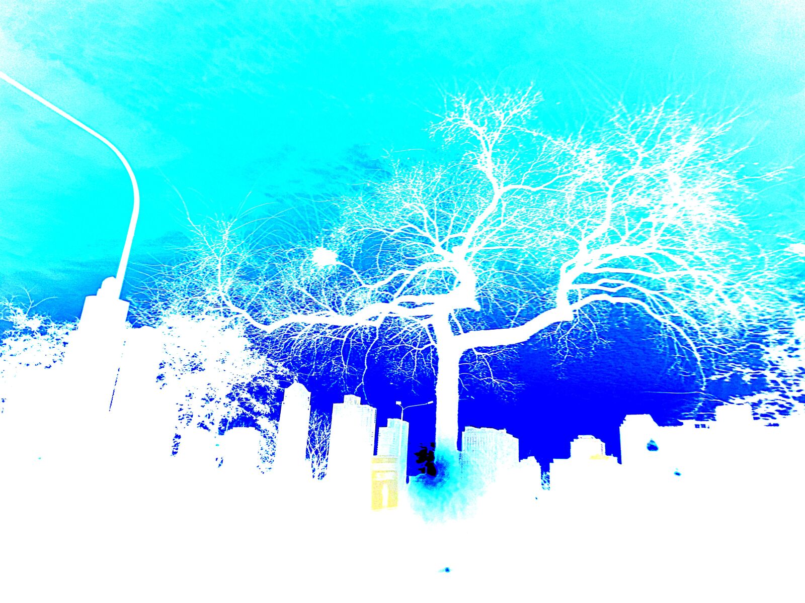 Sony DSC-W320 sample photo. "Silhouette, tree, city" photography