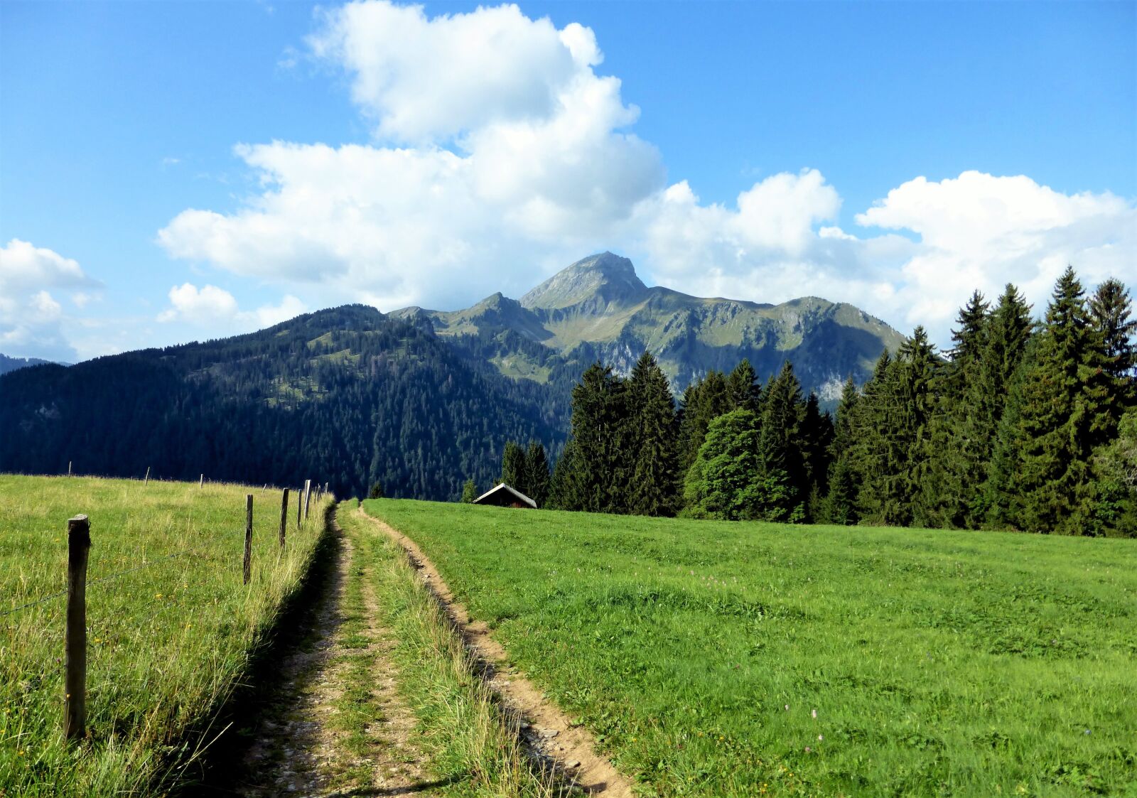 Panasonic Lumix DMC-ZS25 (Lumix DMC-TZ35) sample photo. Alpe, landscape, nature photography