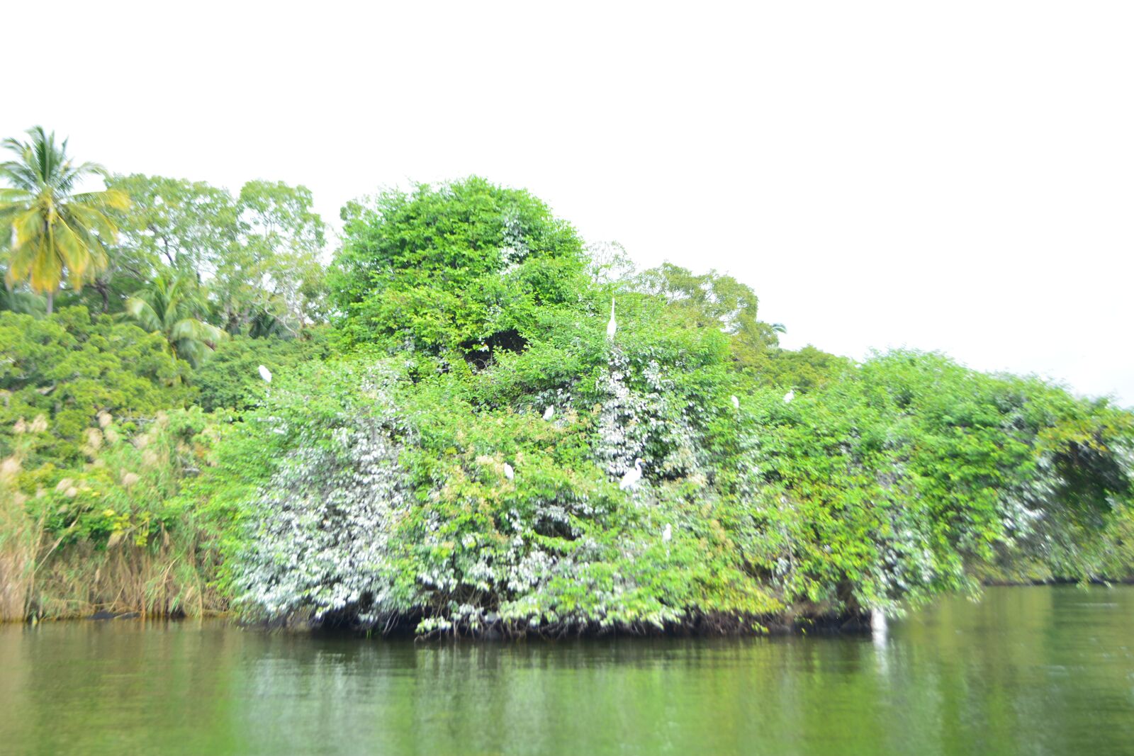 Nikon D5200 sample photo. Lake, natura, relax photography