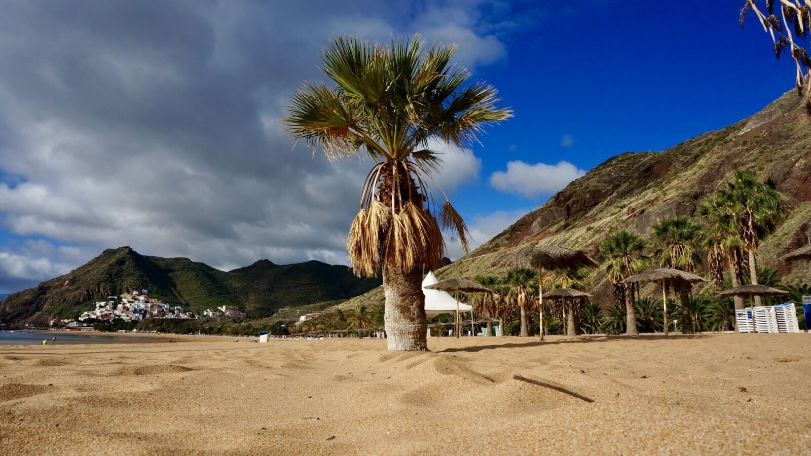 Sony Alpha NEX-5T sample photo. Tenerife, canary islands, holiday photography