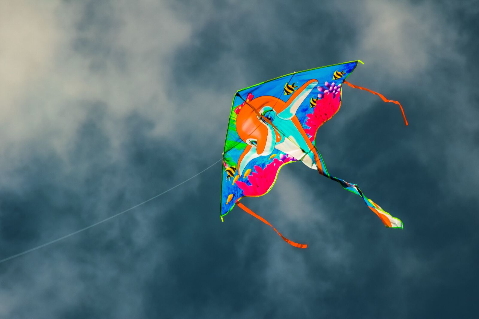 Nikon D3300 sample photo. Kite, fly, wind photography