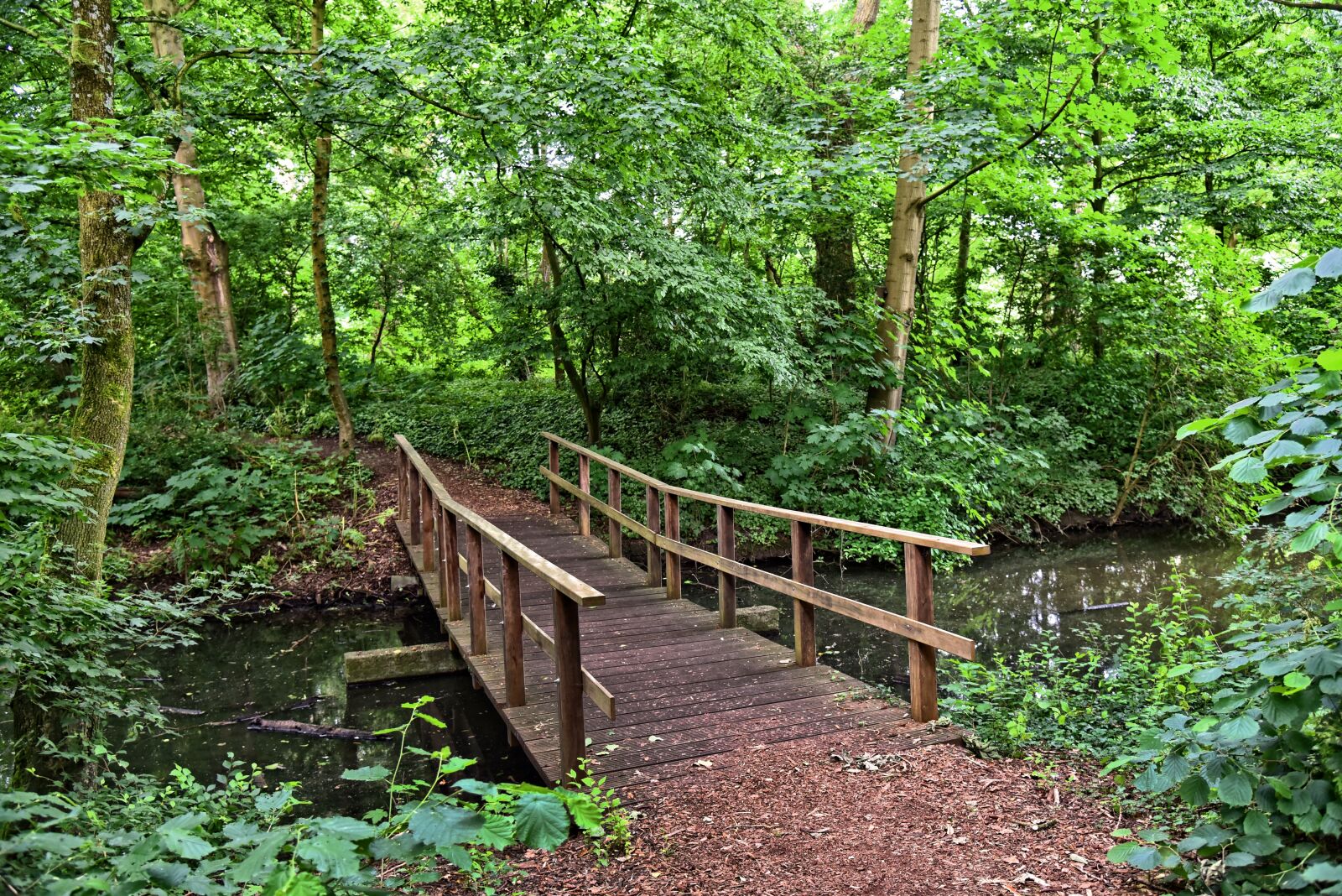 Nikon D750 sample photo. Wooden bridge, bridge, water photography