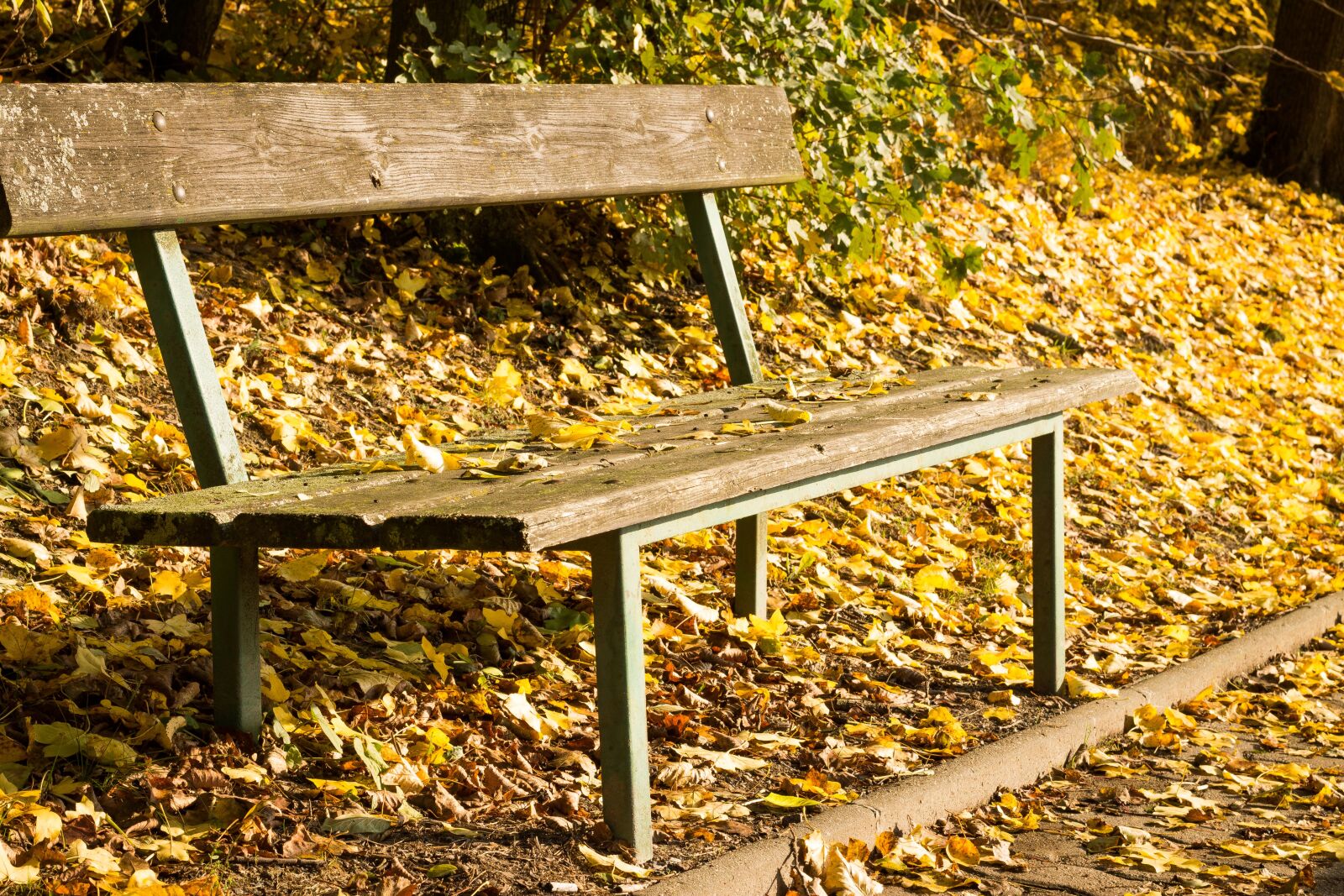 Canon EOS 700D (EOS Rebel T5i / EOS Kiss X7i) + Canon EF 50mm F1.8 STM sample photo. Bench, session, sit photography