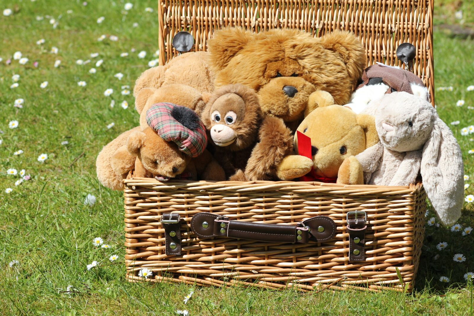 Canon EOS 550D (EOS Rebel T2i / EOS Kiss X4) sample photo. Basket, soft toys, teddy photography
