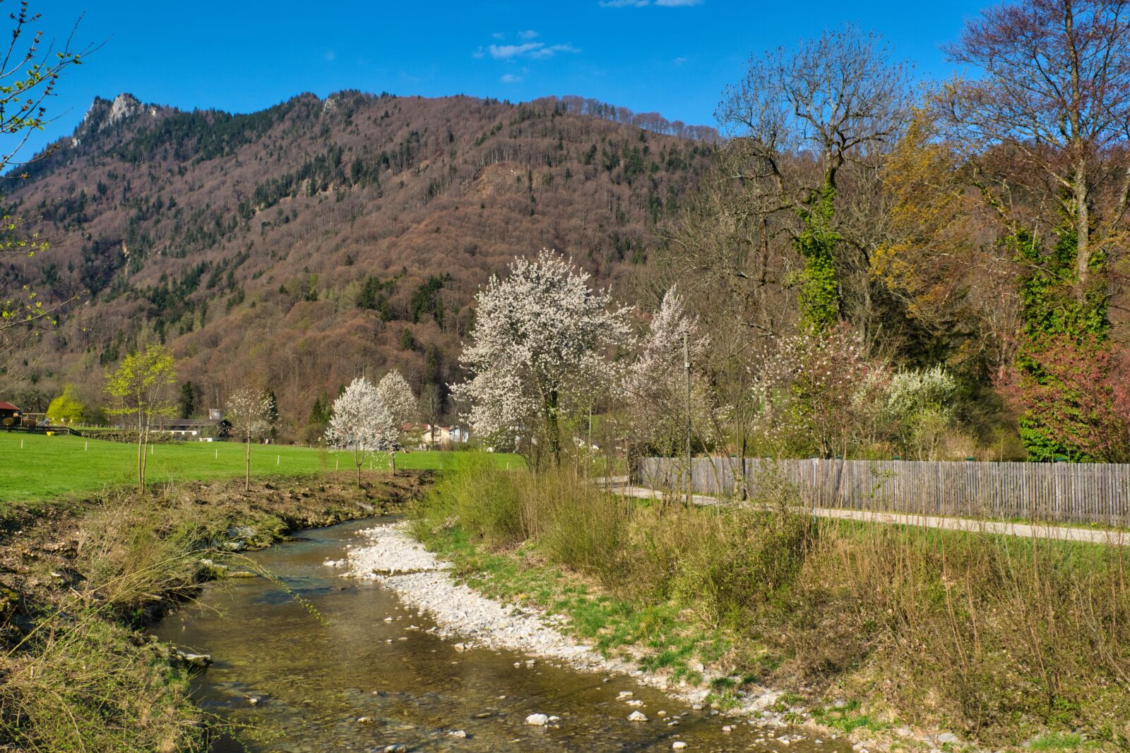 Nikon D7100 sample photo. Spring, river, prien photography
