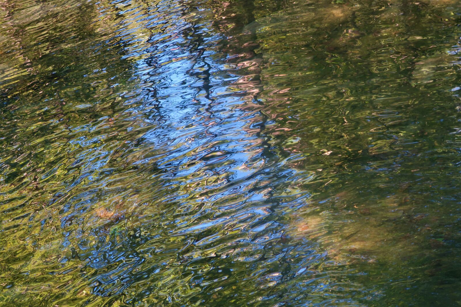 Canon PowerShot G7 X sample photo. Background, nature, water photography