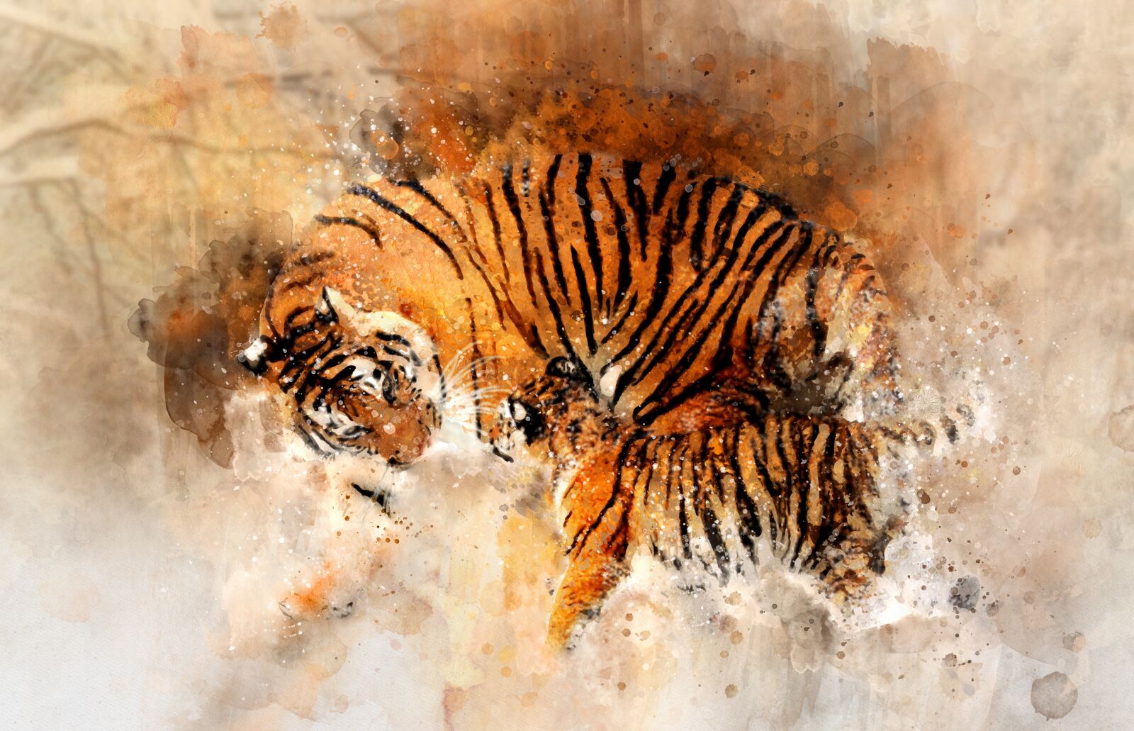 Canon EOS 500D (EOS Rebel T1i / EOS Kiss X3) sample photo. Tiger, watercolor, animal photography