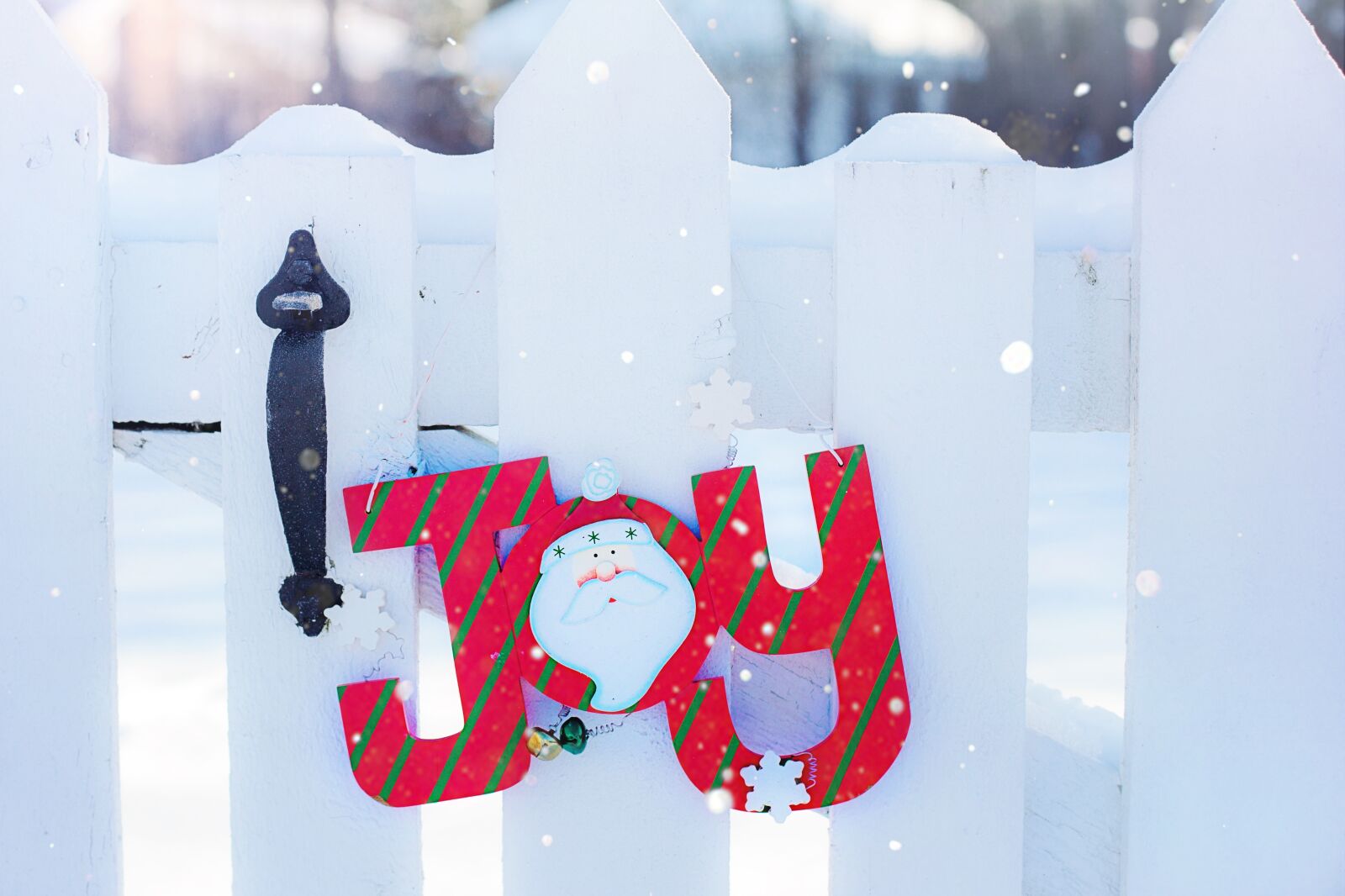 Canon EF 50mm F1.4 USM sample photo. Joy, winter, snow photography