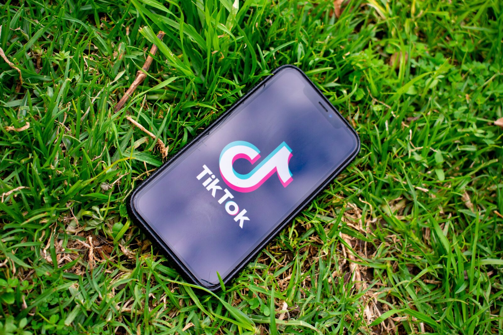 Nikon D3400 sample photo. Tiktok, social media, app photography