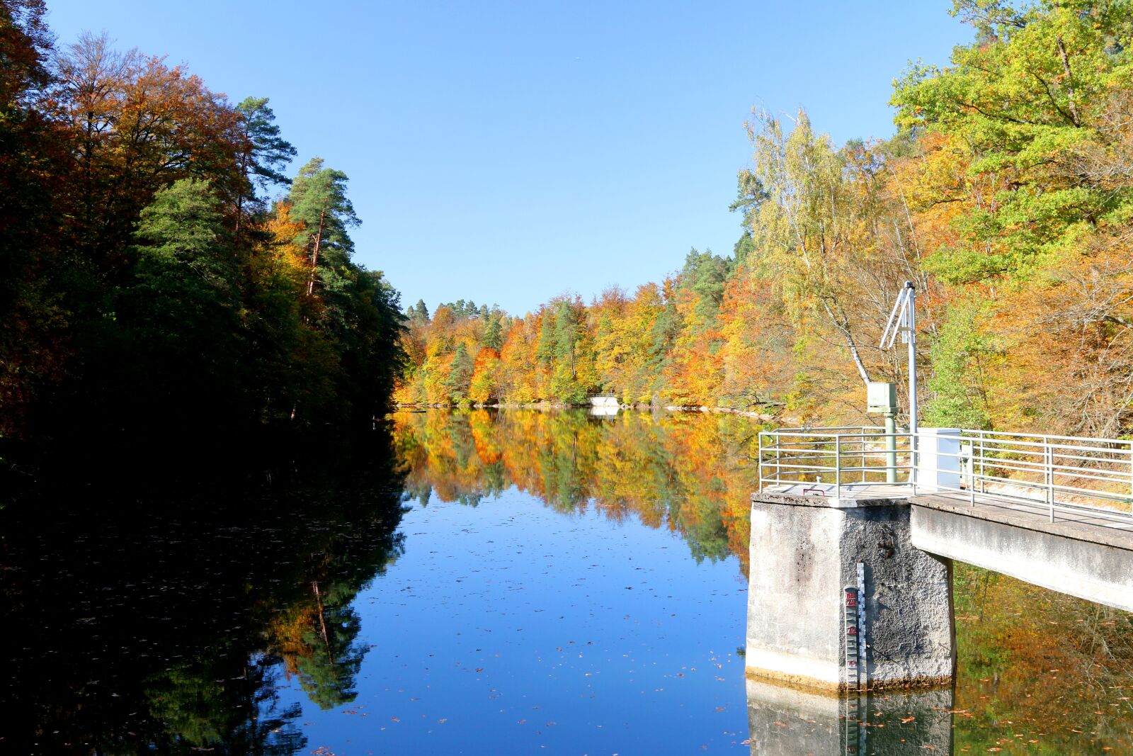 Canon EOS 70D + Canon EF 24-105mm F4L IS USM sample photo. Stuttgart, pfaffenteich lake, bear photography
