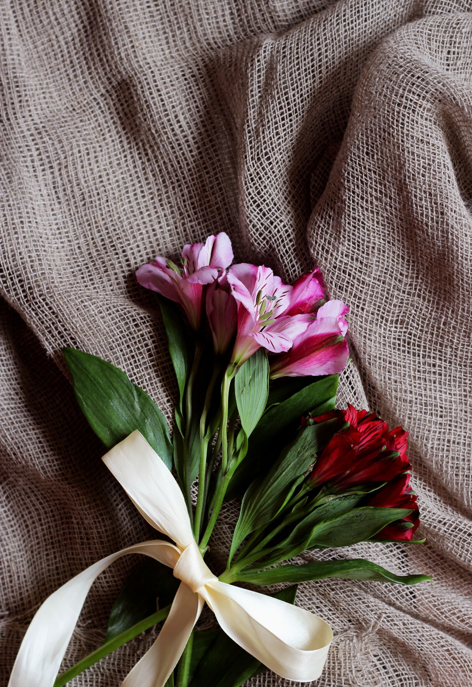 Canon EOS 1200D (EOS Rebel T5 / EOS Kiss X70 / EOS Hi) + Canon EF 50mm F1.8 STM sample photo. Flowers, canvas, style photography