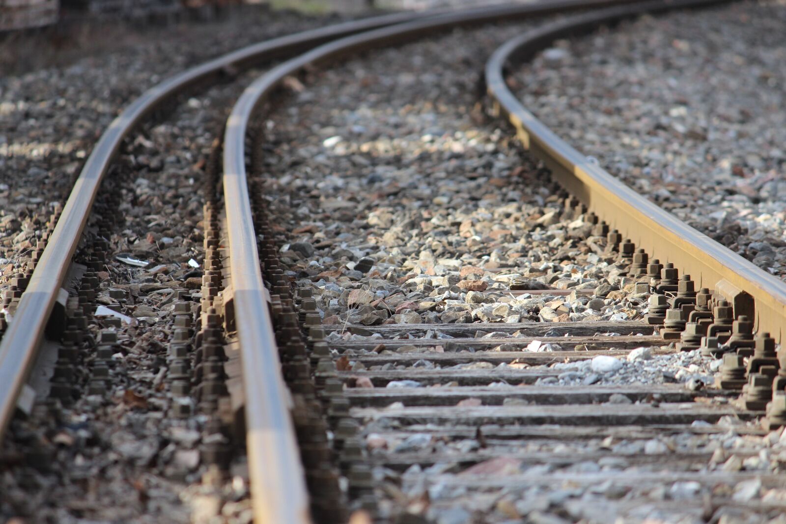Canon EOS 600D (Rebel EOS T3i / EOS Kiss X5) sample photo. Tracks, perspective, railway photography