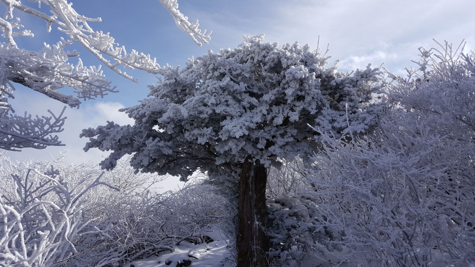 Samsung Galaxy Note5 sample photo. Korea, mountain, taebaeksan, winter photography
