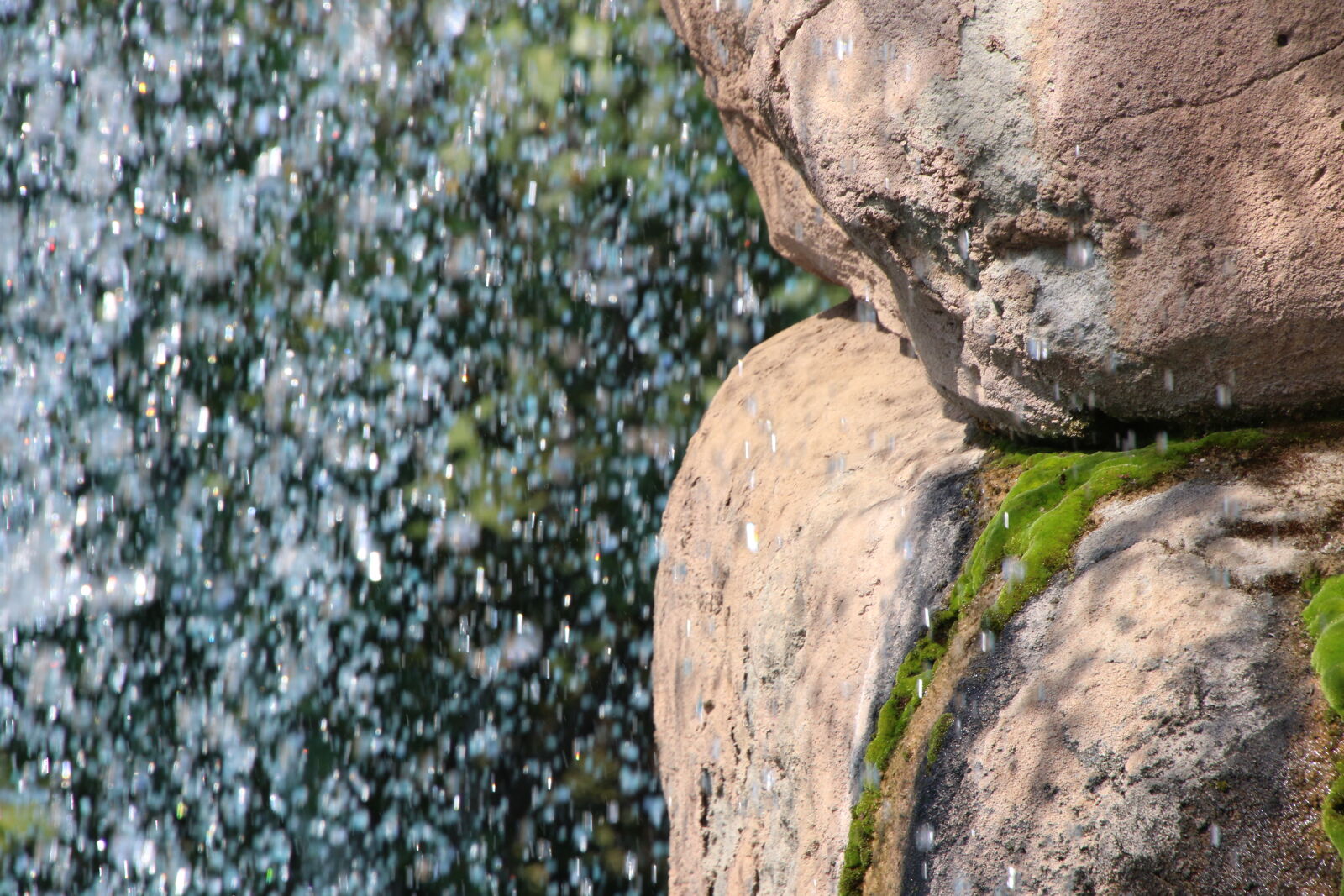 Canon EOS 7D Mark II sample photo. Drop, drops, garden, moss photography