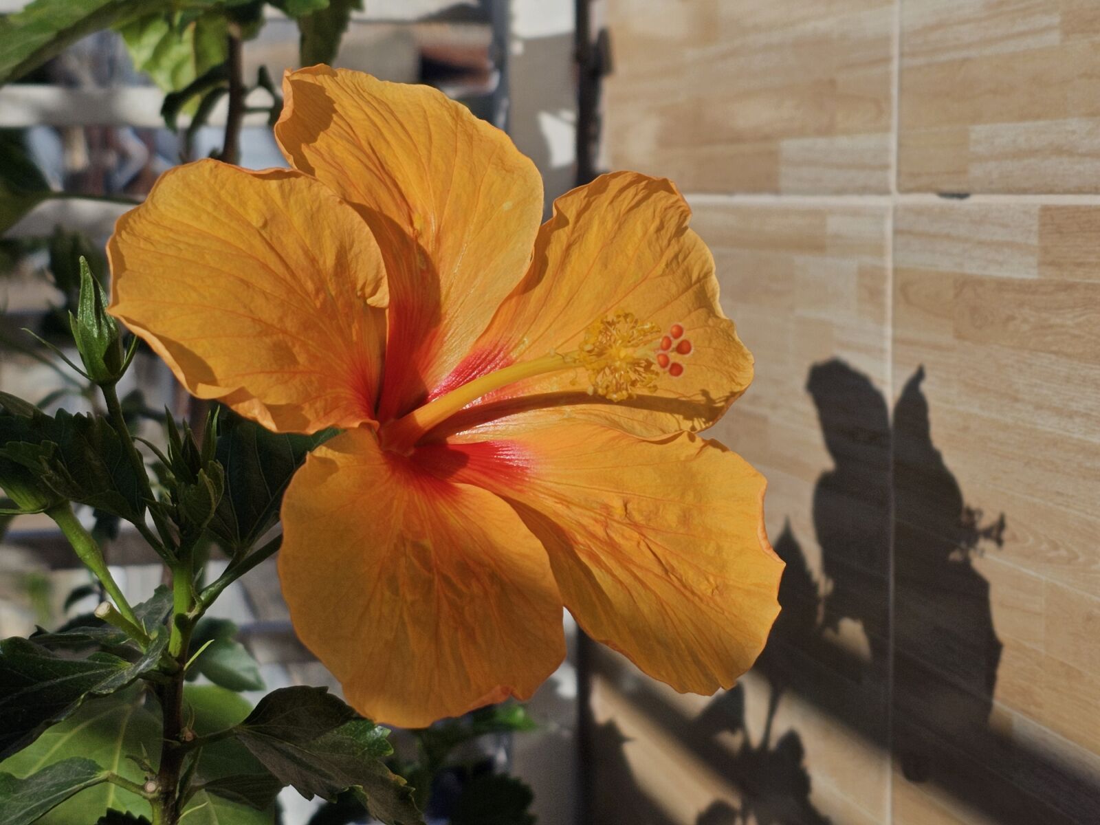 Samsung Galaxy S23 Ultra sample photo