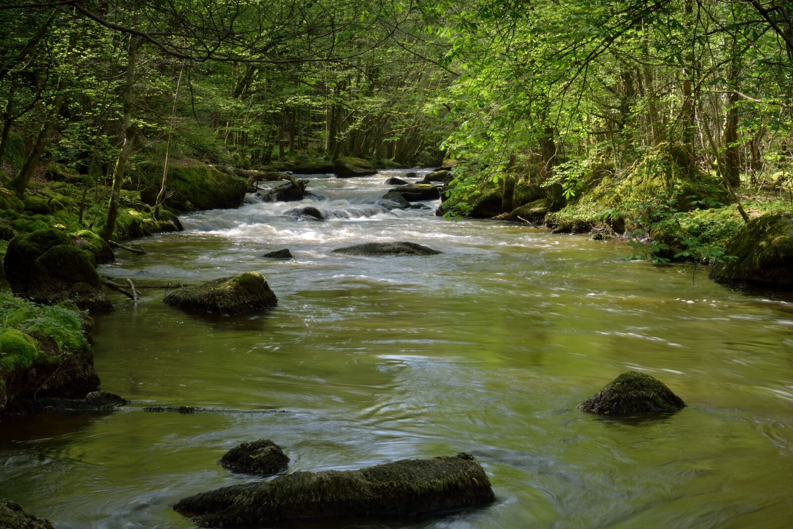 Nikon D750 sample photo. Water courses, landscape, rocks photography