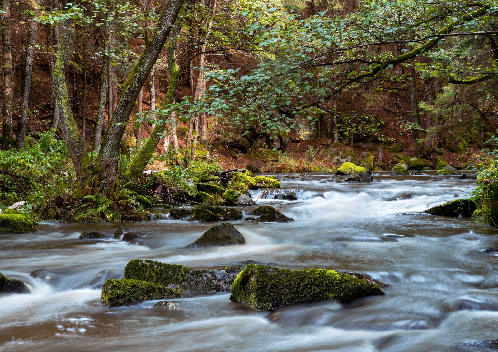 Nikon D810 sample photo. Nature, landscape, water photography