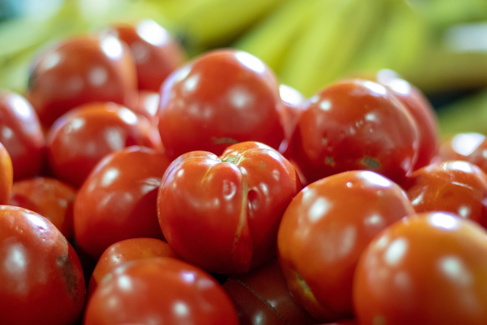 Canon EF 50mm F1.8 STM sample photo. Tomato, fresh, market photography