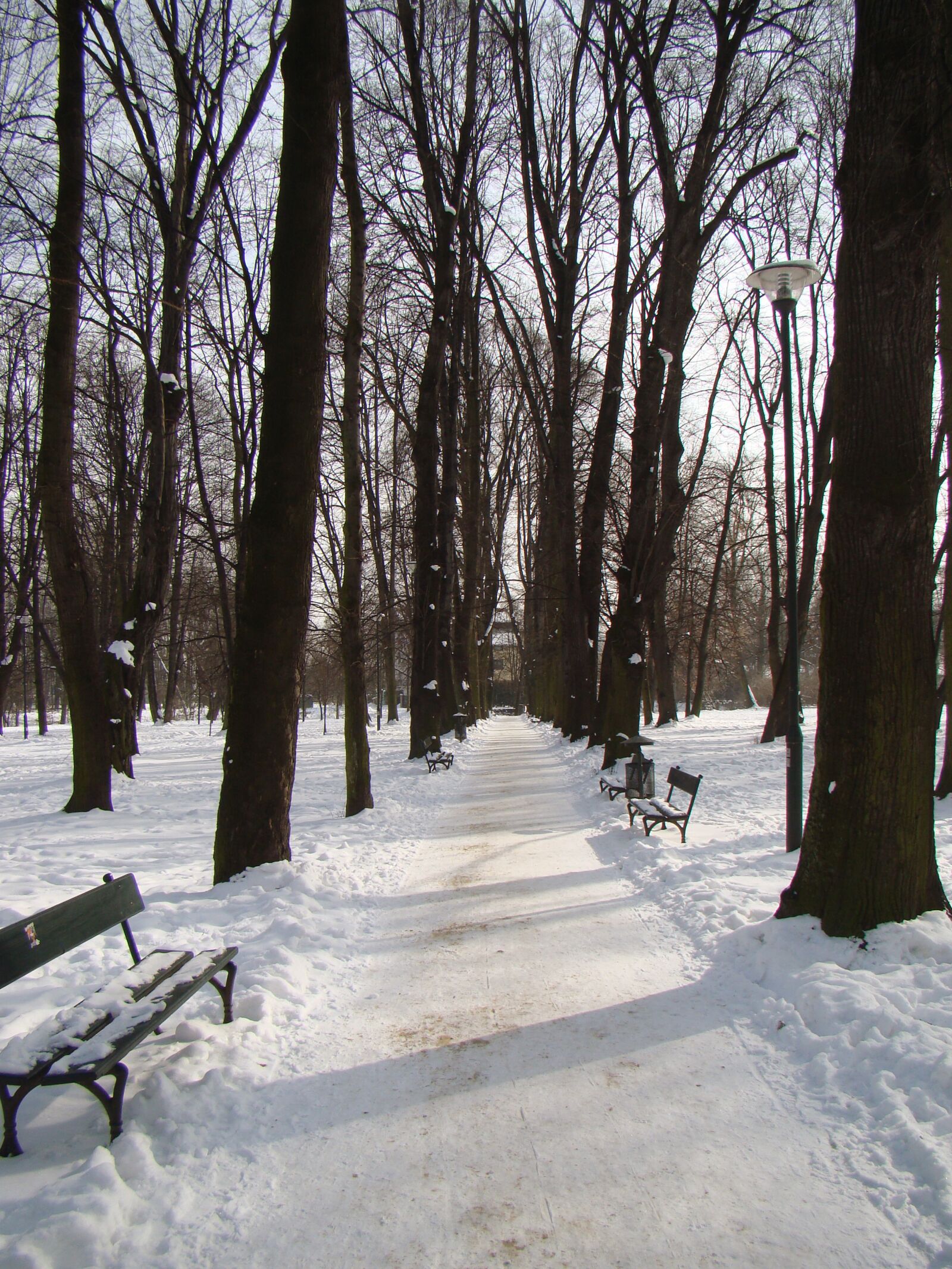 Sony Cyber-shot DSC-H50 sample photo. Park in winter, alley photography