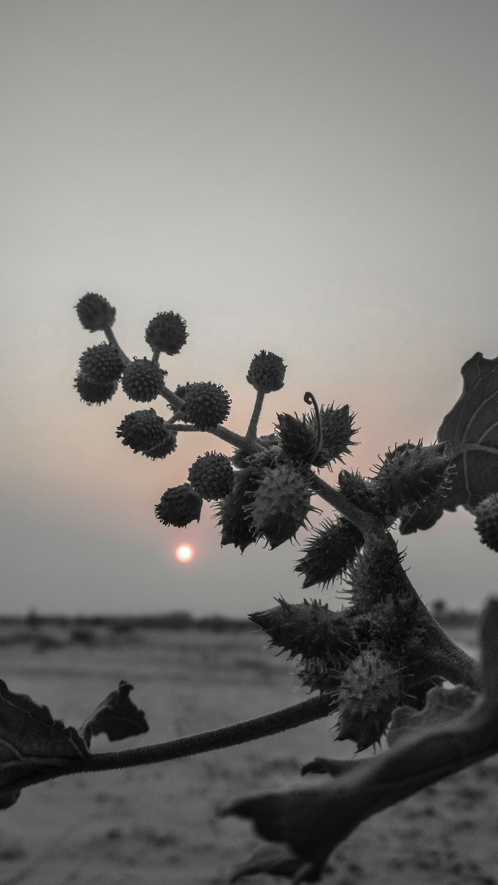 Xiaomi Redmi 4 Pro sample photo. Sunset, amazing, natural photography