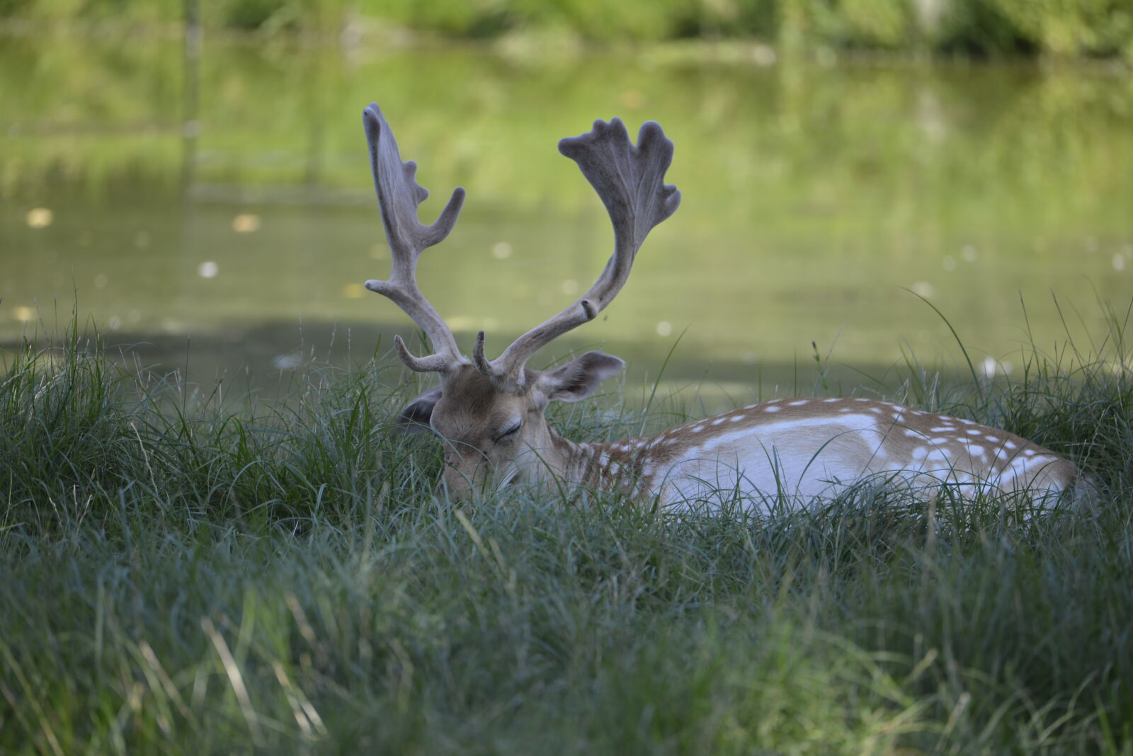 Nikon D800 sample photo