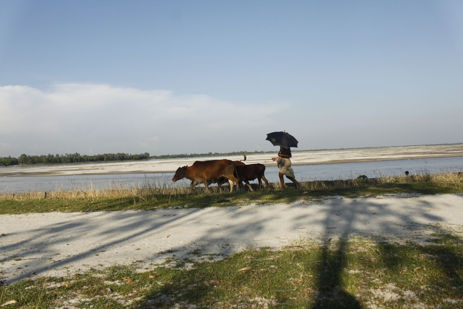 Canon EOS 500D (EOS Rebel T1i / EOS Kiss X3) sample photo. Bangladesh, canal, cowboy, fisherman photography