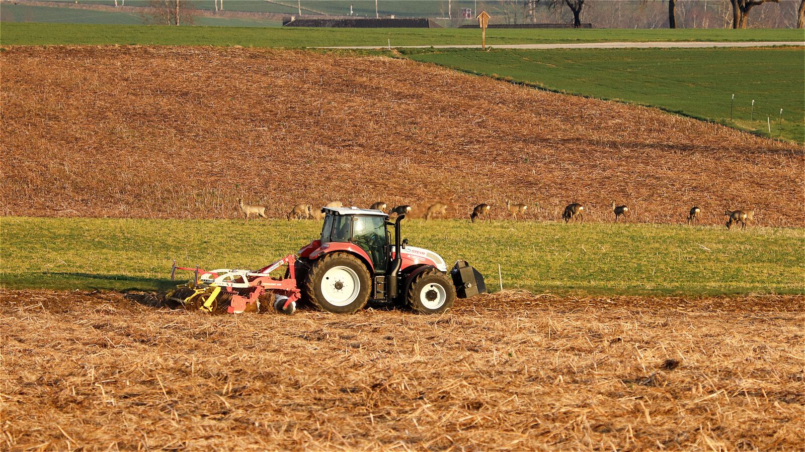 Canon EF 70-300 F4-5.6 IS II USM sample photo. Fieldwork, tractor, deer photography
