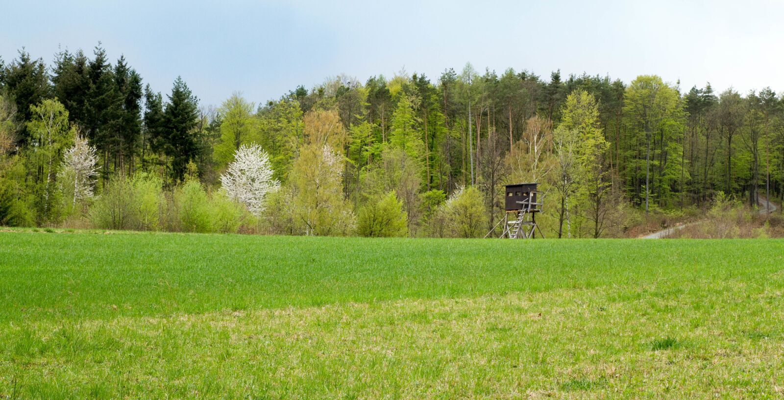 Canon EOS 60D sample photo. Landscape, spring, juicy photography