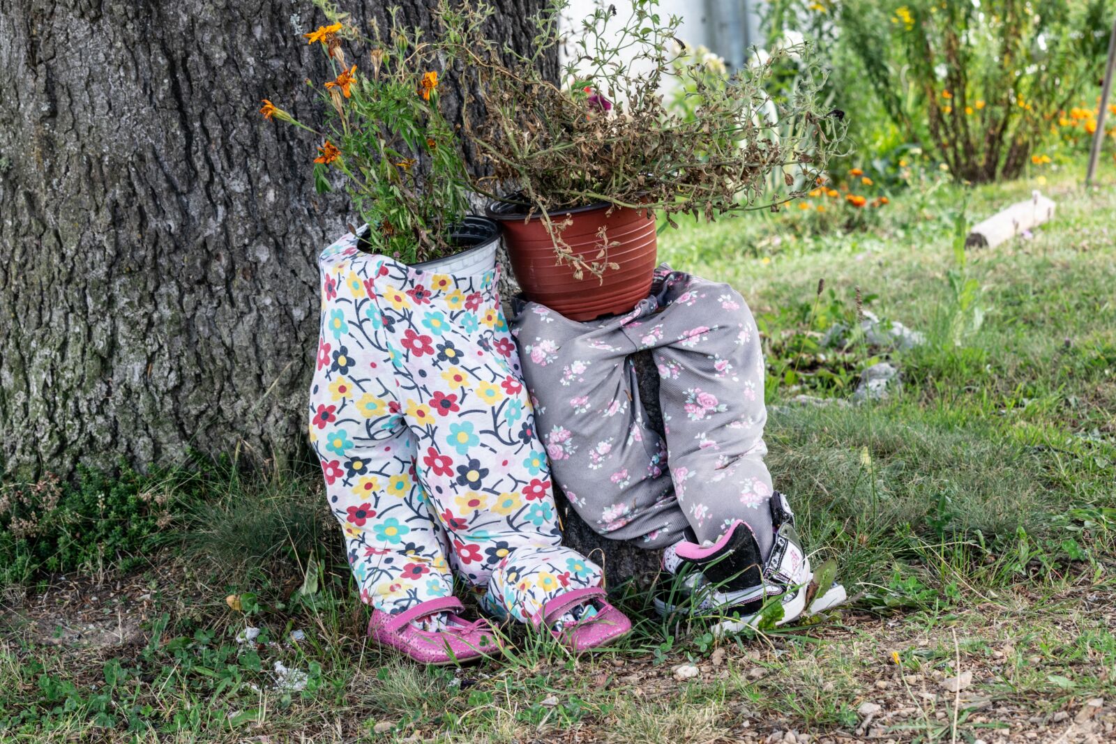 Nikon D3300 sample photo. Decoration, pants, flower photography