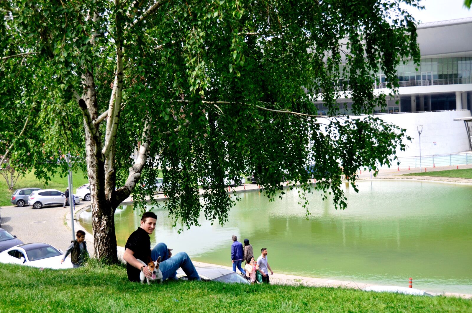 Nikon D5100 sample photo. Grass, tree, nature photography