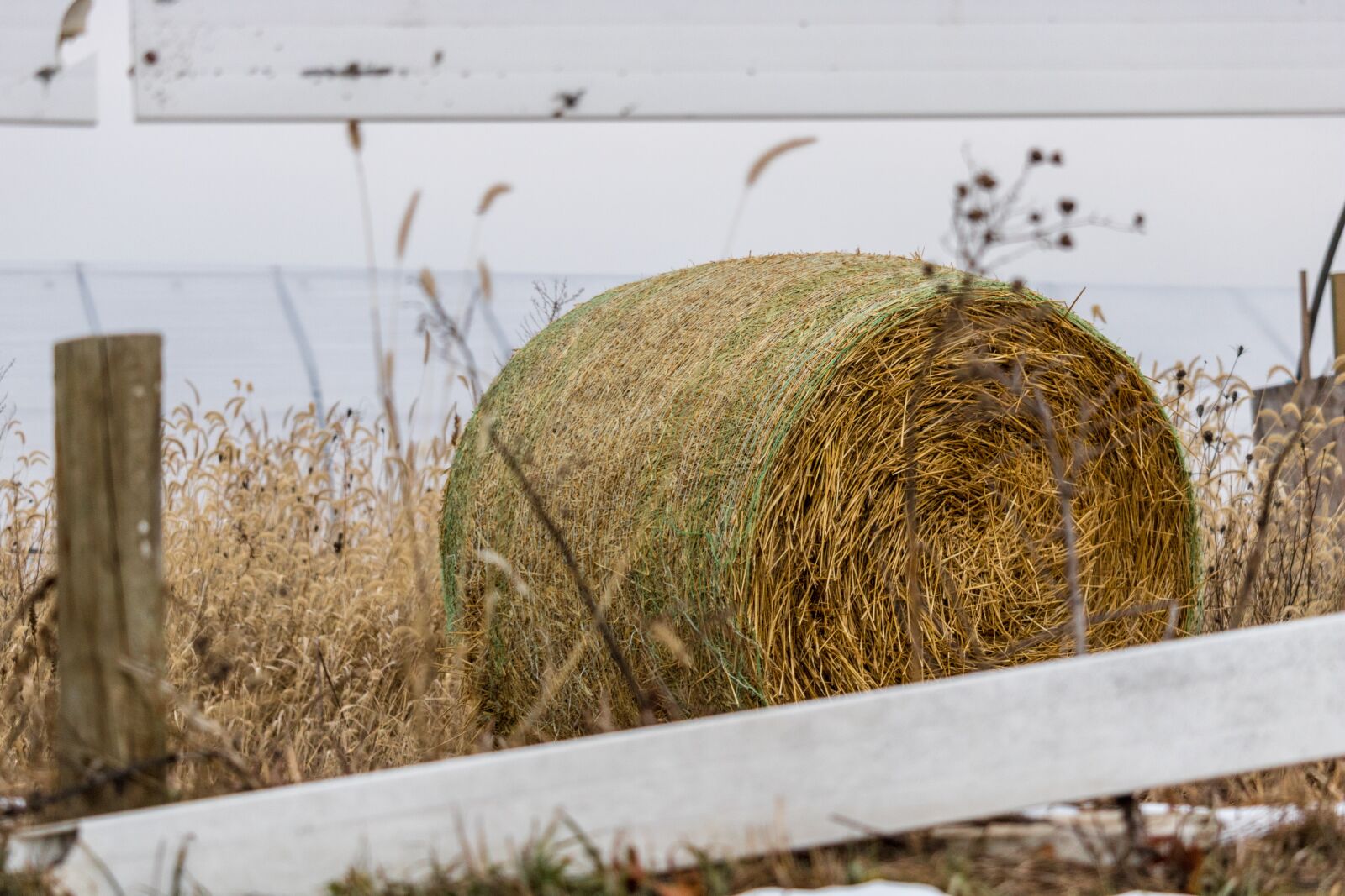 Canon EOS 750D (EOS Rebel T6i / EOS Kiss X8i) + Canon EF-S 55-250mm F4-5.6 IS STM sample photo. Hay, fence, bale photography