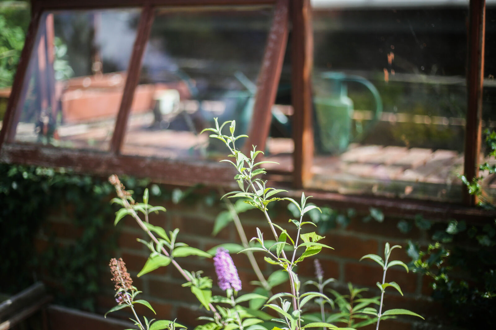 Canon EOS 6D + Canon EF 50mm F1.8 STM sample photo. Warm, house photography