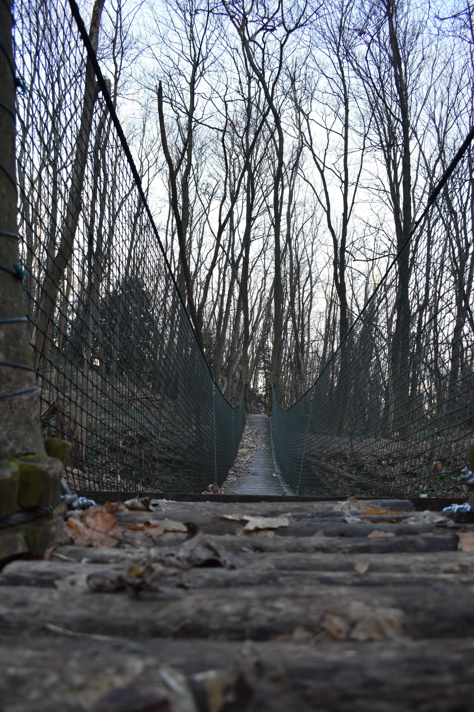 Nikon D3500 sample photo. Bridge, landscape, fog photography