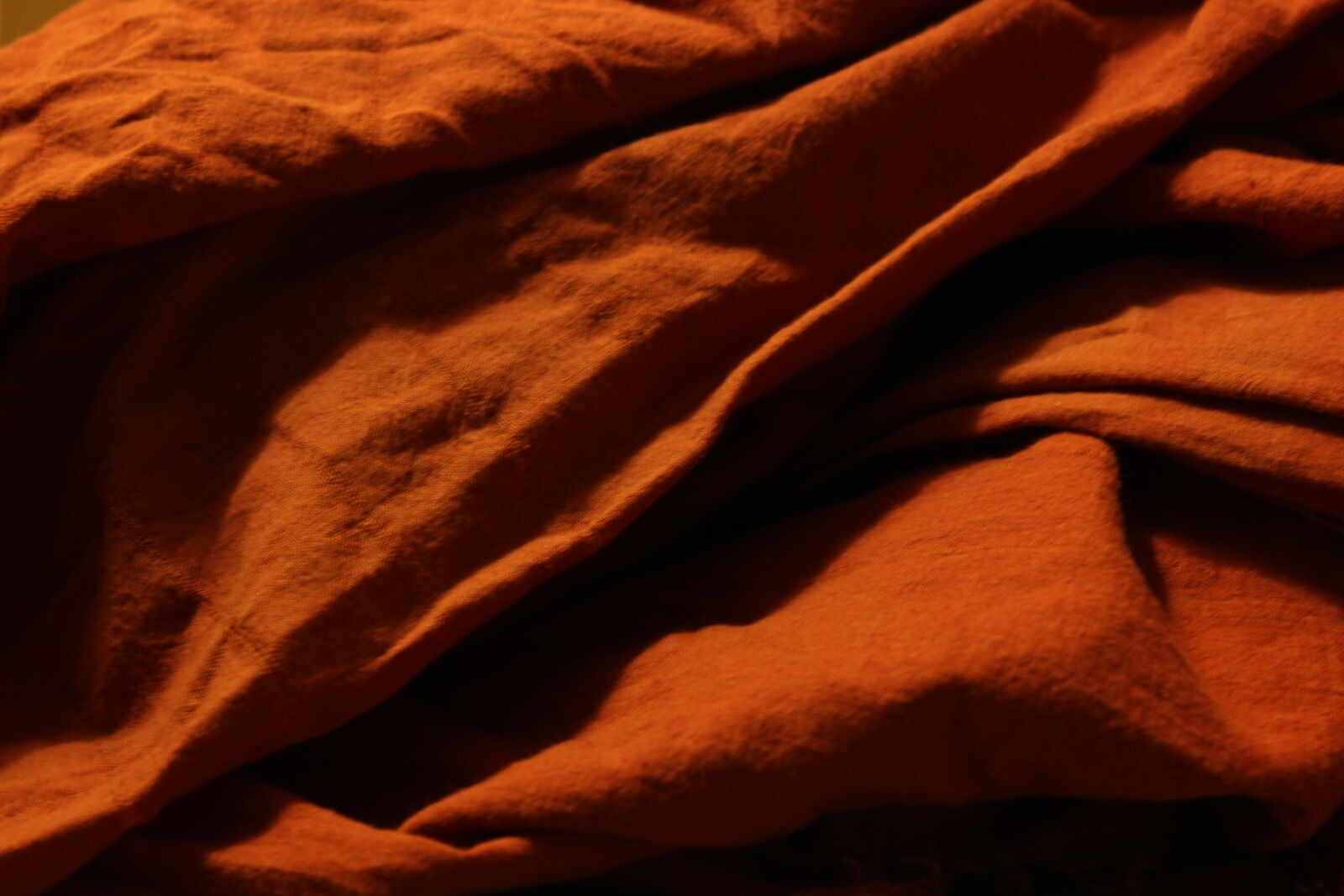Canon EOS 600D (Rebel EOS T3i / EOS Kiss X5) sample photo. Full, frame, shot, of photography