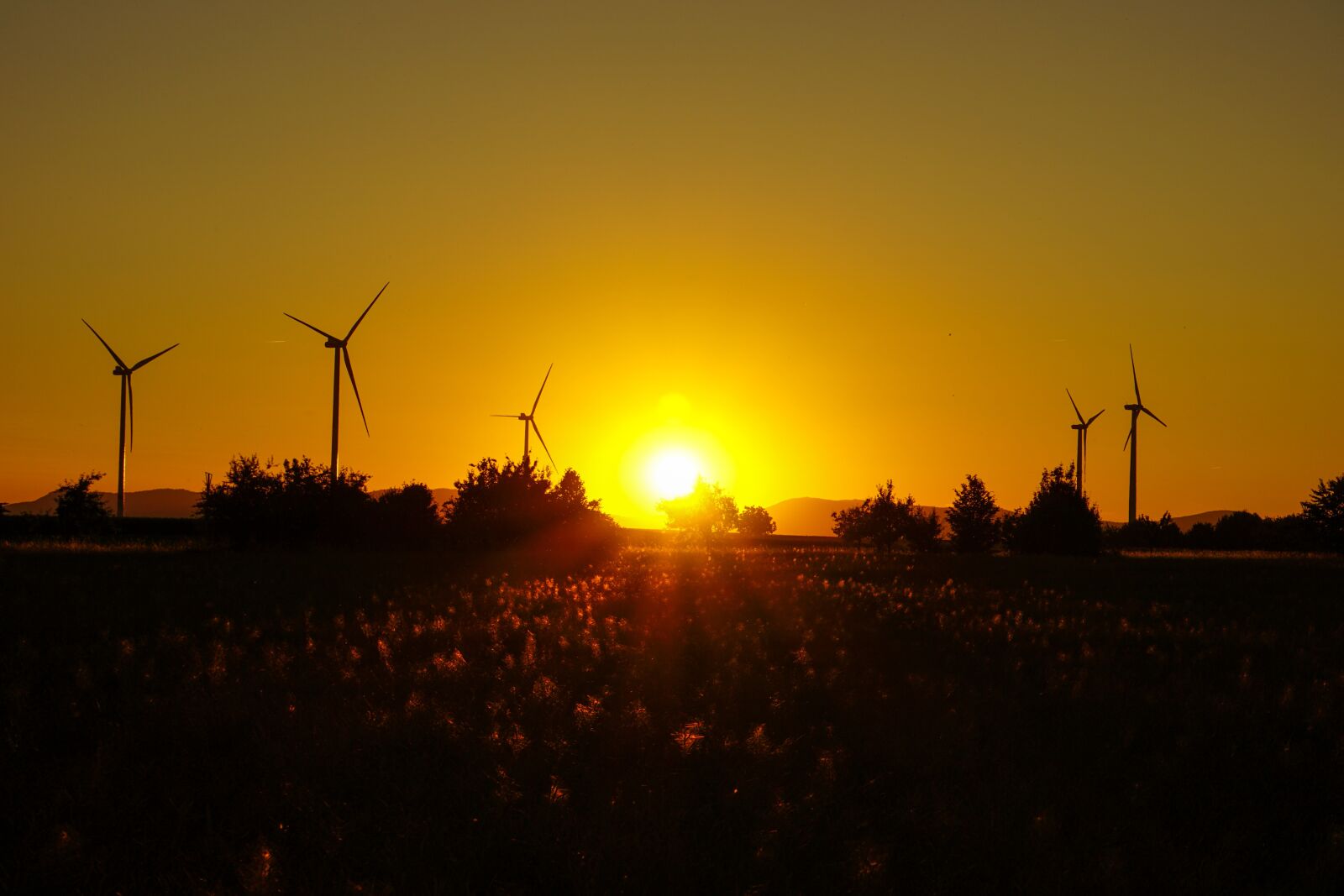 Sony E 55-210mm F4.5-6.3 OSS sample photo. Evening sky, sunset, sun photography