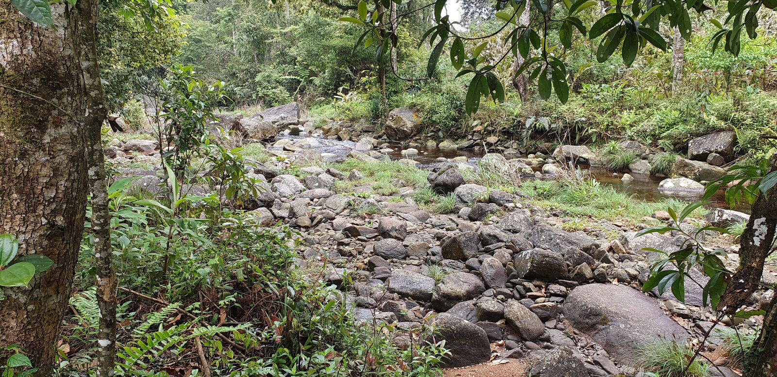 Samsung Galaxy Note9 sample photo. Scenery, mountain, stream photography