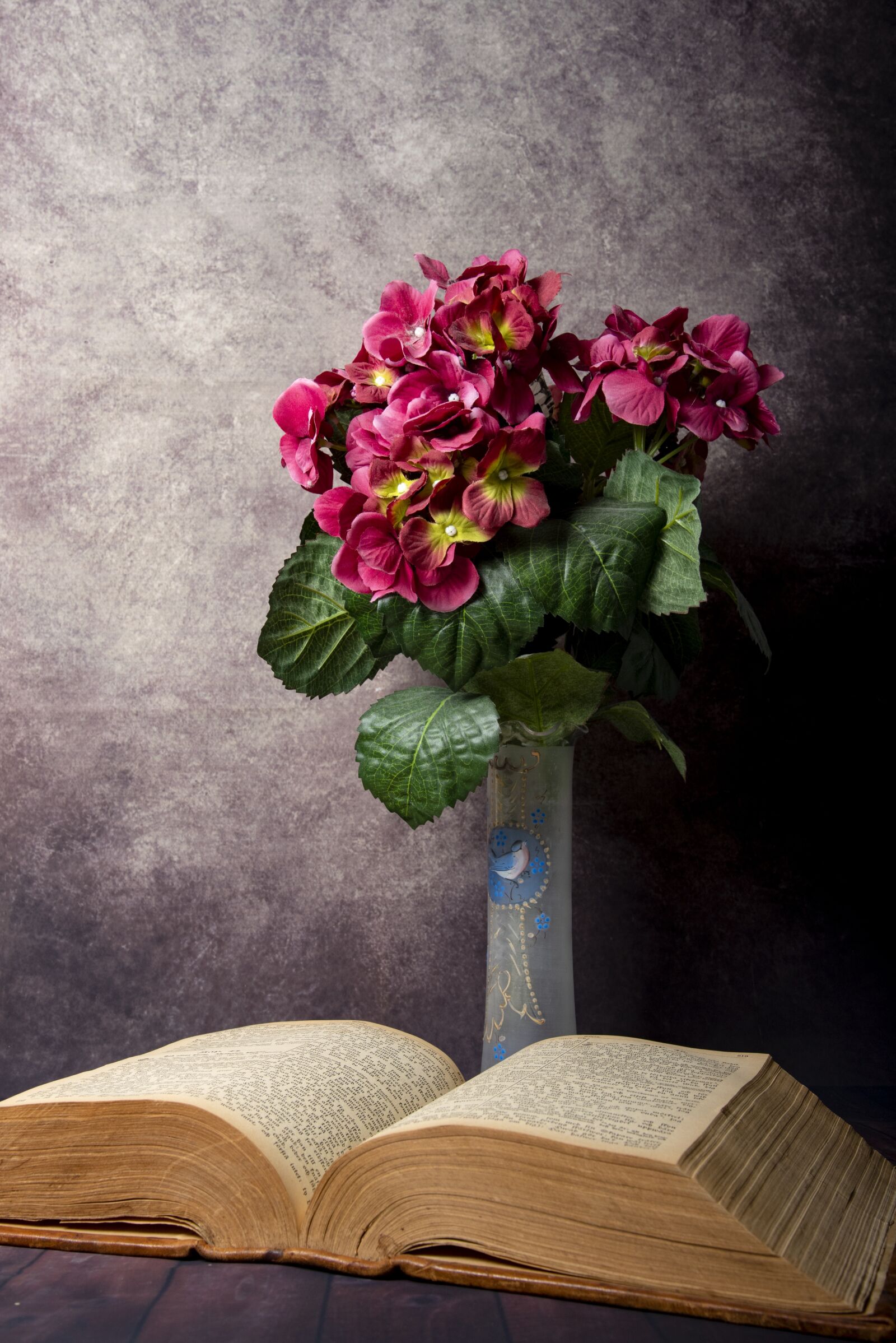 Nikon D750 sample photo. Still life, old book photography