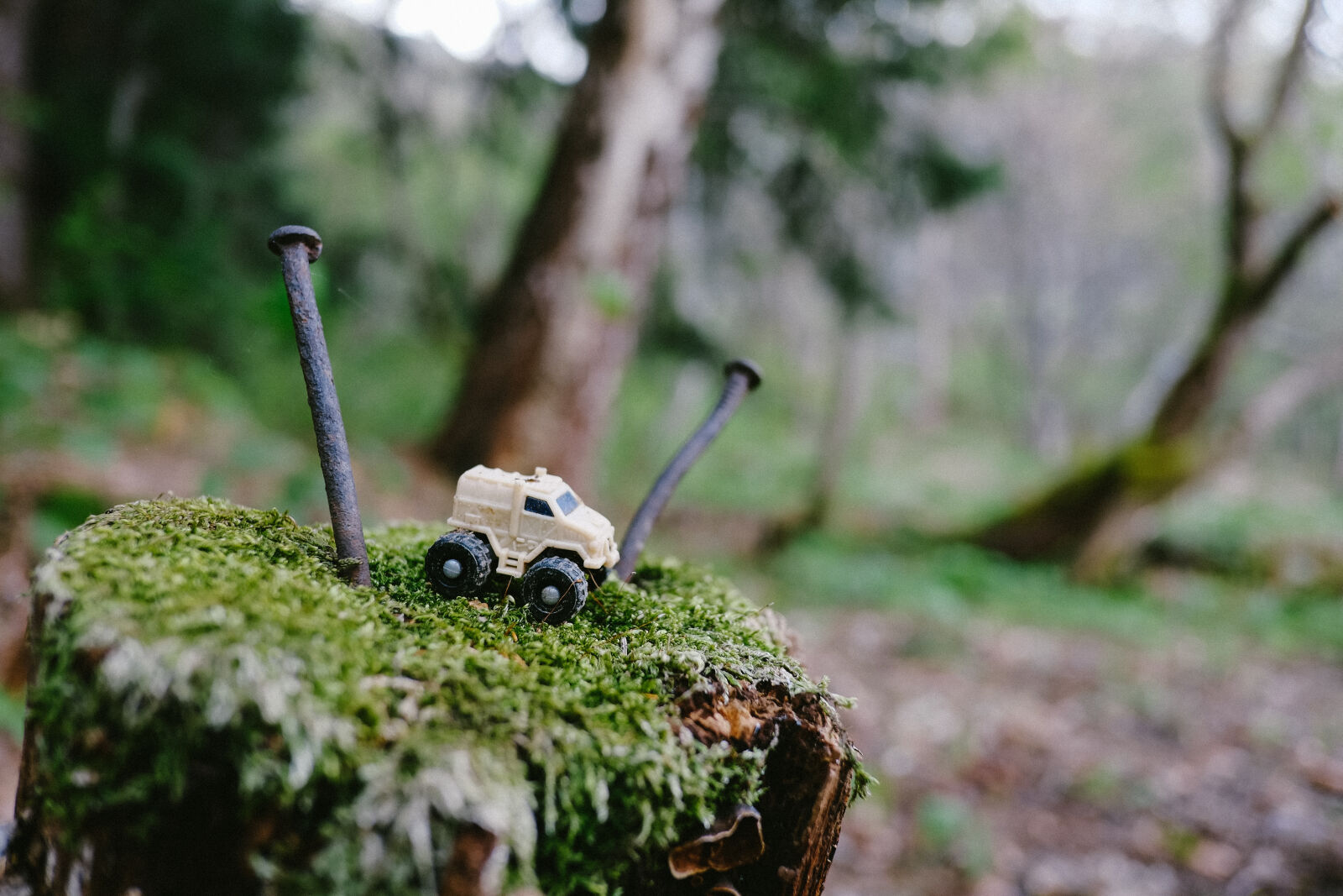 Fujifilm XF 18mm F2 R sample photo. Forest, toy, truck photography