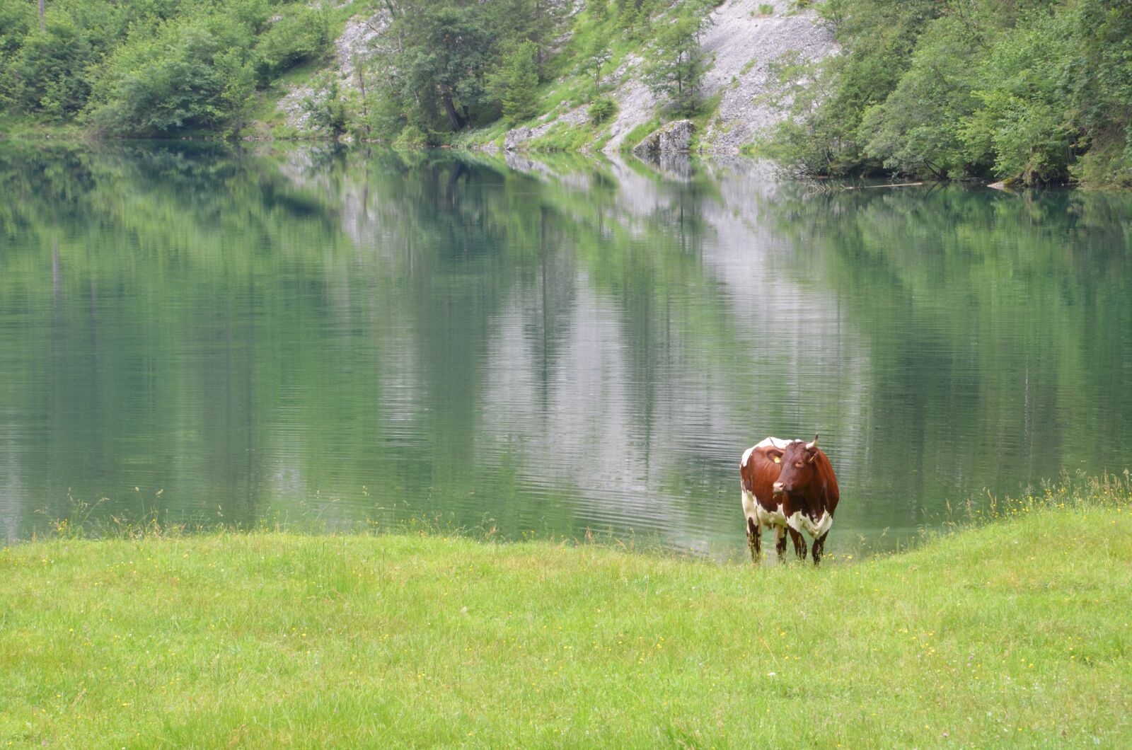 Nikon D5100 sample photo. Salet, berchtesgaden, bavaria photography