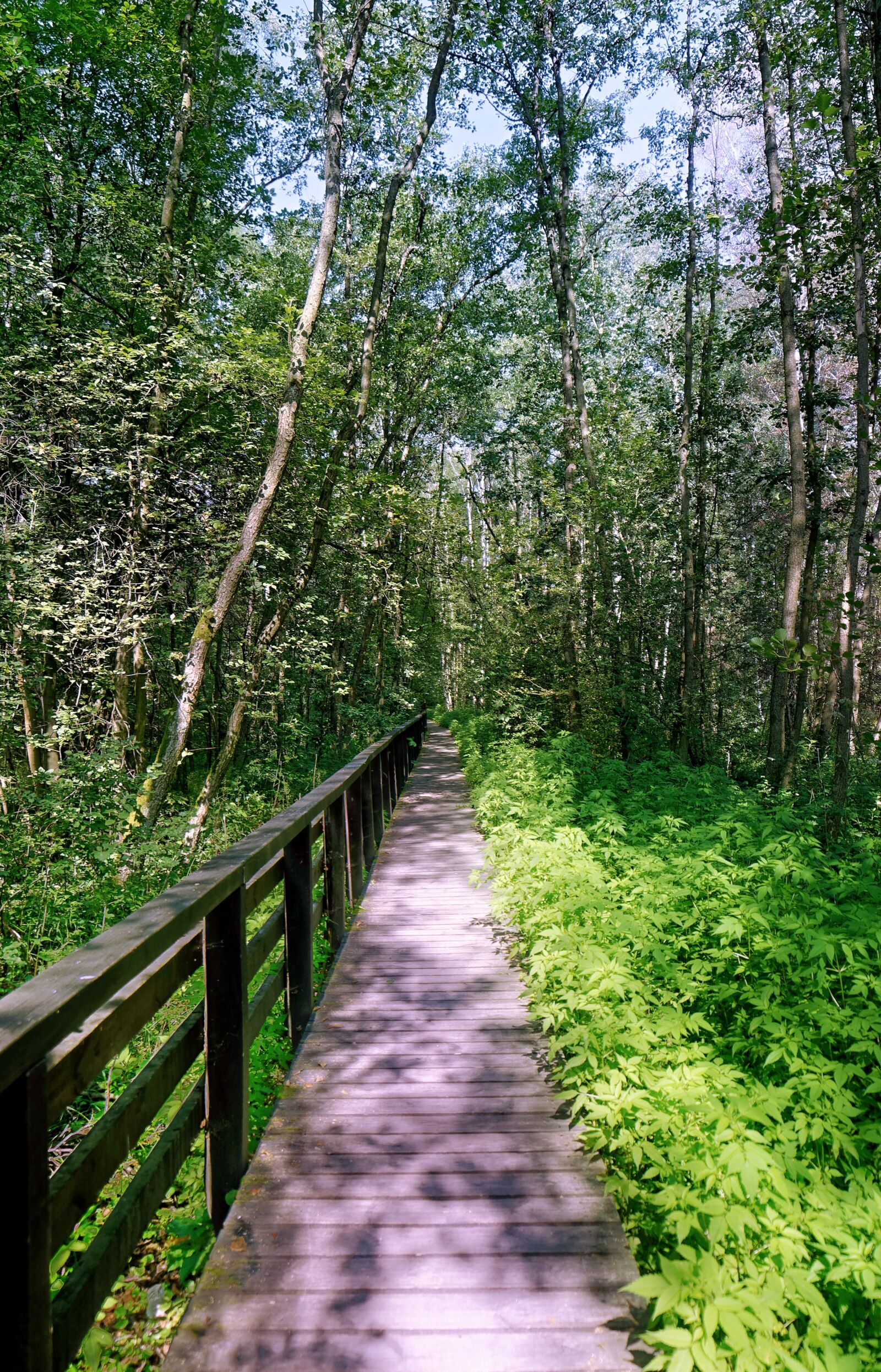 Nikon D5100 sample photo. Passage, pass, displacement photography