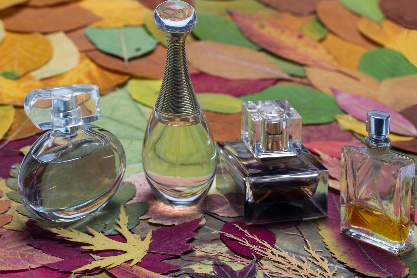Canon EF-S 60mm F2.8 Macro USM sample photo. Perfume, fragrance, bottles photography