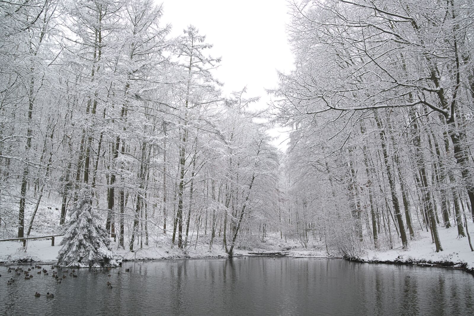 Nikon D600 sample photo. Winter, lake, frozen photography
