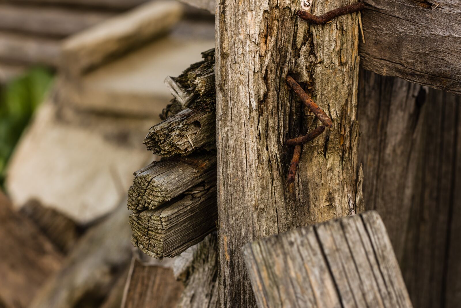 Canon EOS 700D (EOS Rebel T5i / EOS Kiss X7i) + Canon EF 50mm F1.8 STM sample photo. Wood, splinter, nail photography