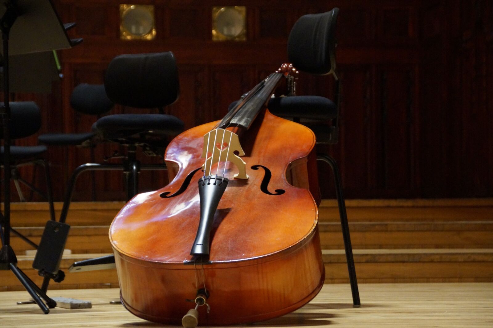 Sony SLT-A58 sample photo. Bass, double bass, musical photography