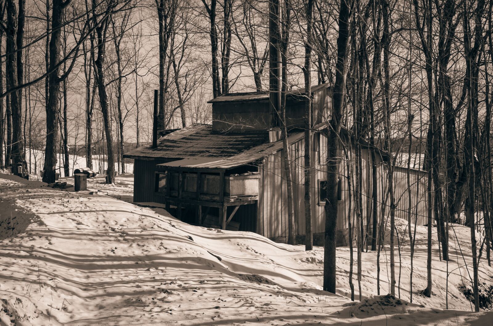 Nikon D5100 sample photo. Cabin, sugar, maple photography