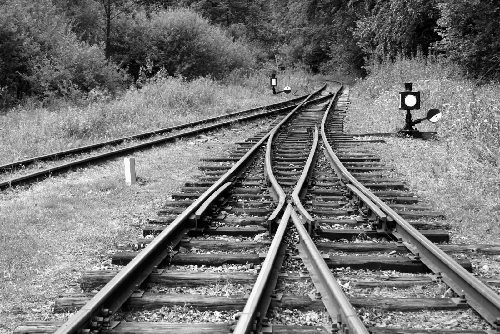 Canon EOS 50D sample photo. Way, travel, rails photography