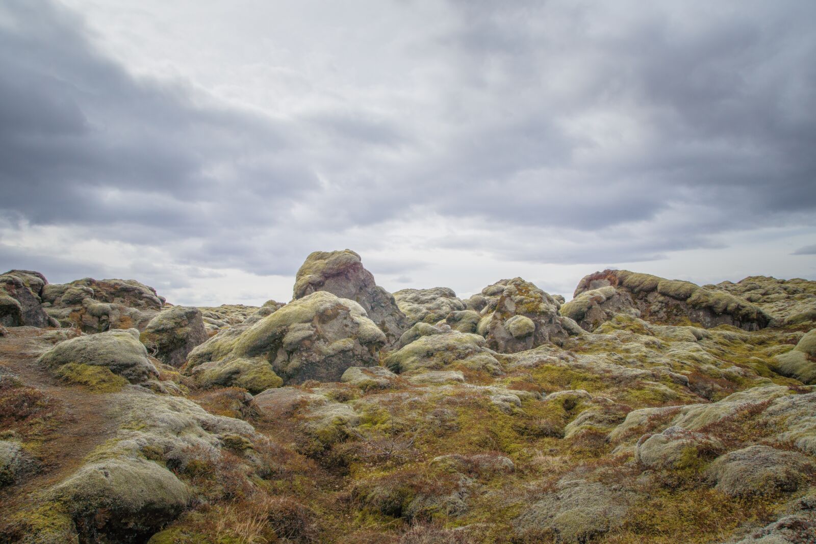 Sony SLT-A77 sample photo. Moss, rock, iceland photography