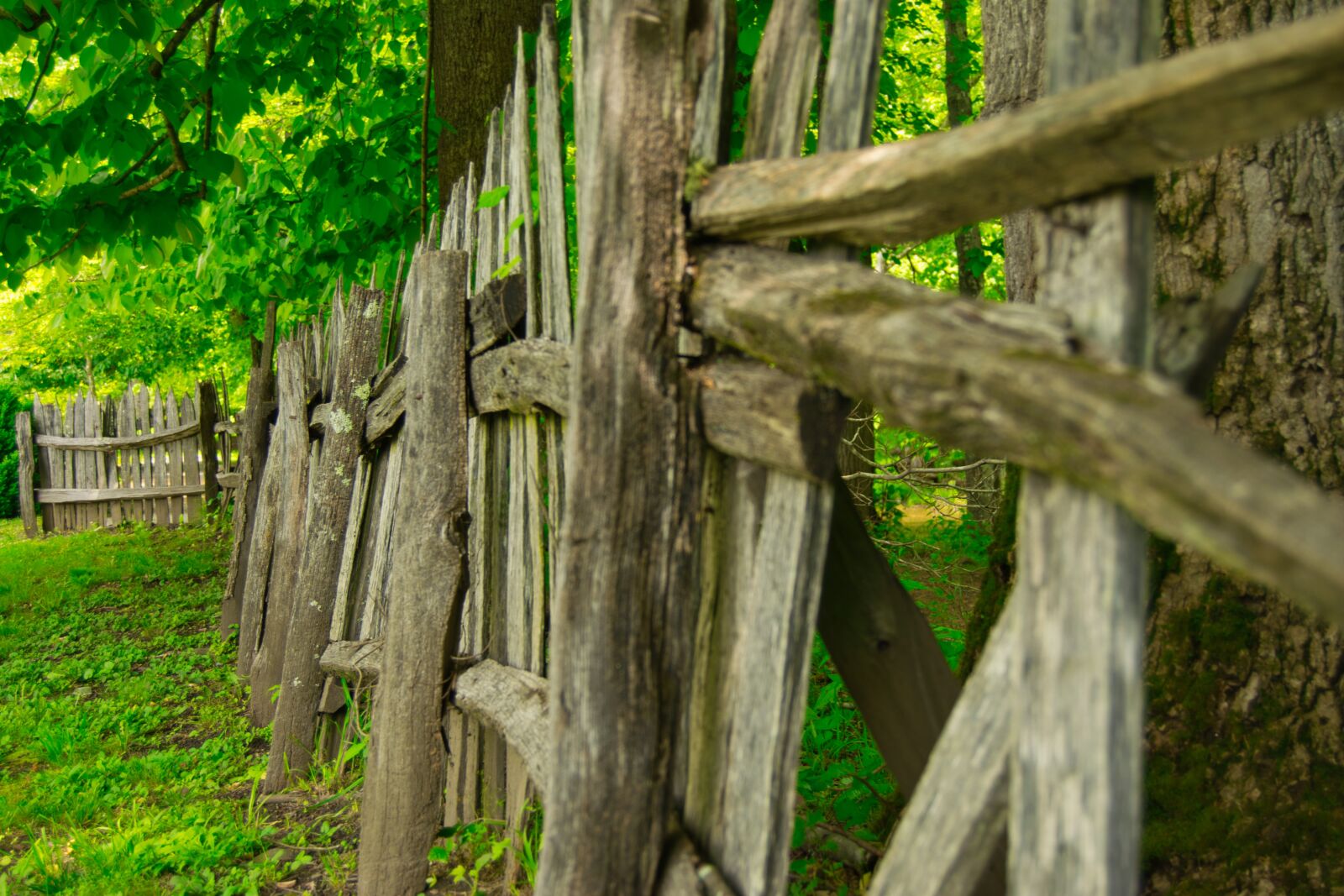 Nikon D5300 sample photo. Wood fence, north carolina photography