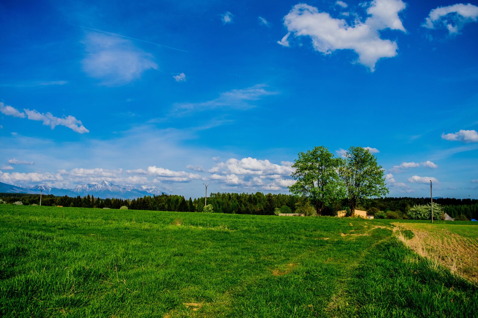 Nikon D3300 sample photo. Tree, mountains, krivan photography