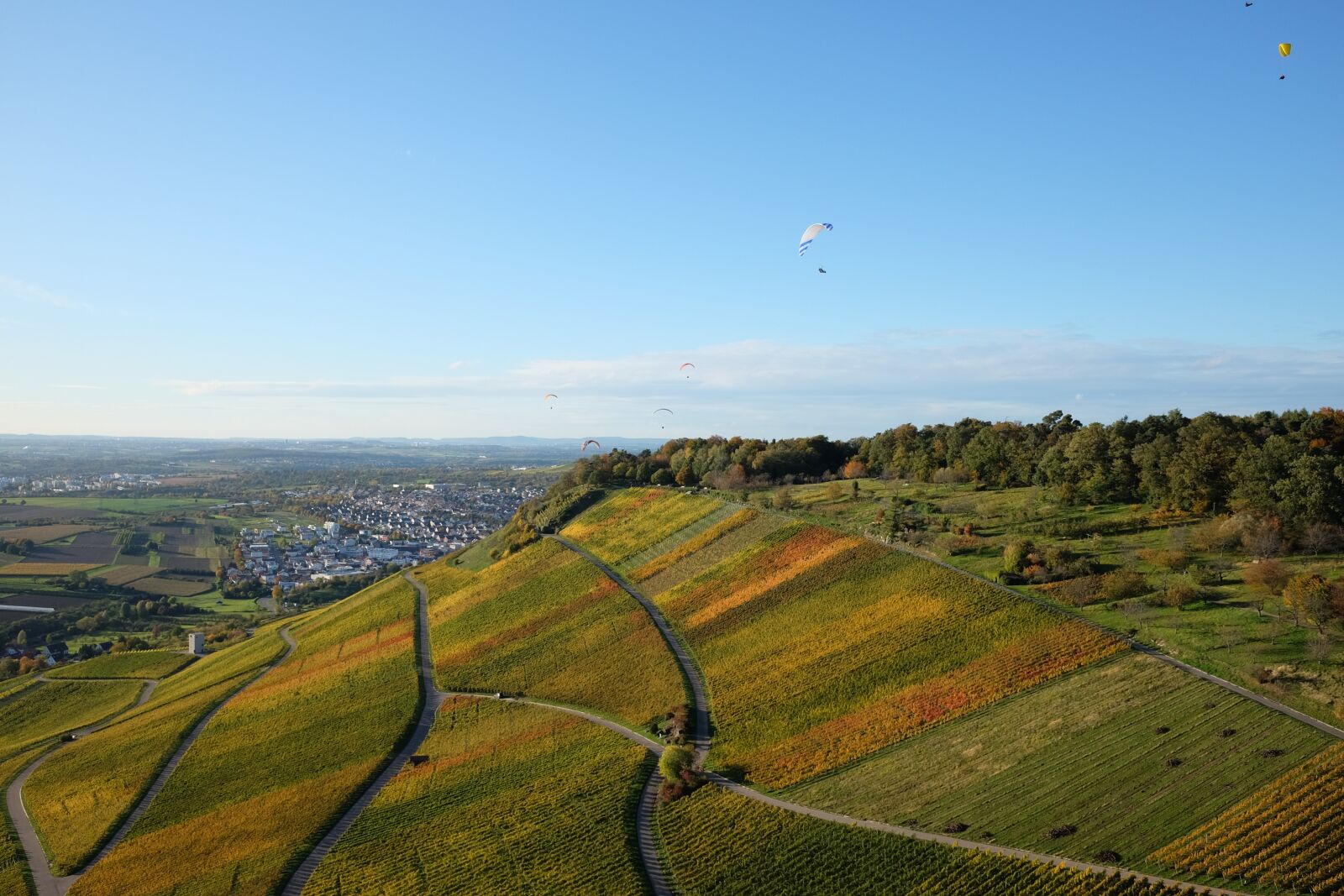 Fujifilm X70 sample photo. Vineyards, paragliding, flying photography